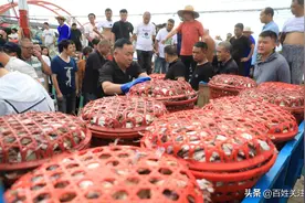 浙江舟山：东海开渔 “第一网”海鲜到货图片