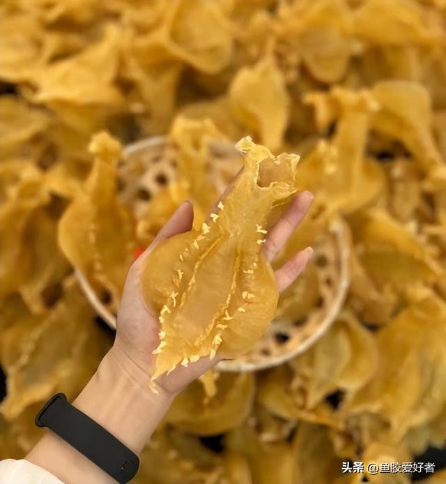 孕期能否喝花胶汤 2026年孕期能喝花胶汤吗