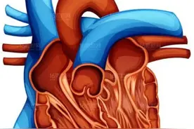 阳康后，心衰患者注意事项图片