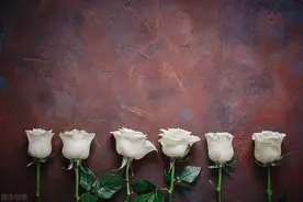 河北企退人员去世，遗属待遇从2021年9月1日起执行新政策图片