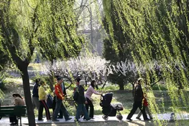 清明将至，哪5个属相要躲清明？怎么躲？牢记三不做，顺利一整年图片