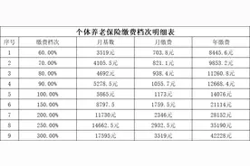 个体养老保险缴费档次明细表（灵活就业人员）图片