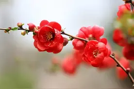 想知道男人爱你有多深，看睡姿就知道了图片