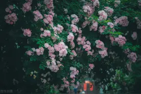 45岁到55岁这十年，是女人最难熬的岁月图片