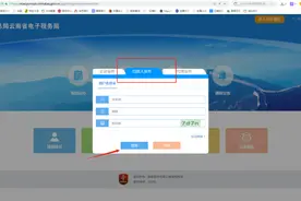 「加油站」自然人申报缴纳车辆购置税操作指南（电子税务局PC端）图片