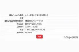 大麦网被执行超810万元图片