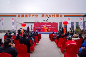富平柿饼首次突破！“柿柿红”柿饼销售产值过亿图片