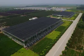 菏泽市巨野县：牢固树立“绿色发展”理念，全力推进采煤塌陷地综合治理图片