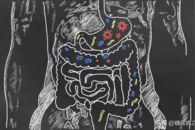 肠道功能好竟能平稳血糖？做到这4点，让你肠道更健康！图片