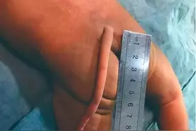 竟然真的有人长尾巴图片