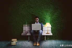 男生带67只猫狗跨3400公里搬家 网友点赞：呼吁大家慎重考虑好后再养宠物图片