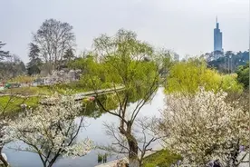 南京一女士准备洗澡时，竟发现有蛇盘在热水器上，是怎么进屋的？图片