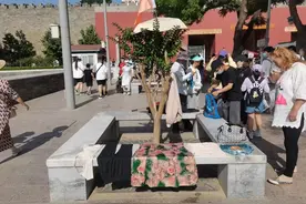 北京导游也抢不到故宫门票？旅行社：景点的门票都难抢，6月订单退了一半图片