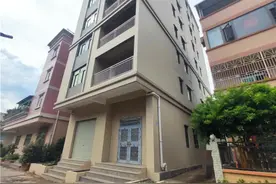 惠州司法拍卖：惠州市惠阳区淡水谢塘街十四巷15号自建房图片