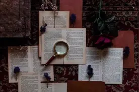 处置群体性事件、突发性事件适用法律法规汇编图片