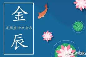 芳华正茂 盘龙如歌 | “金辰”村落换新颜图片