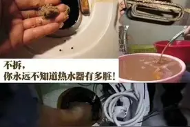 为什么电热水器会有消毒杀菌功能？图片