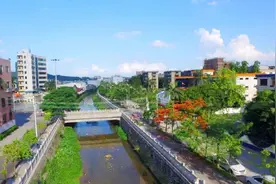奋进新征程 建功新时代 | 云城区安塘街： “红色引擎”赋能高质量发展“全速跑”图片