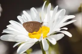 及时止损，是一个人最大的冷静图片