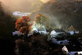 高情商夸人漂亮的句子图片