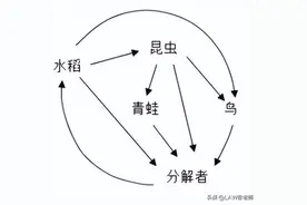 2022年九年级生物上学期中考真题完整试卷图片