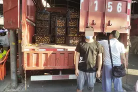 湖南一货车司机从广西拉橘子到海口，装车时帮托运人垫付3000元，到目的地后对方未支付相关款项图片