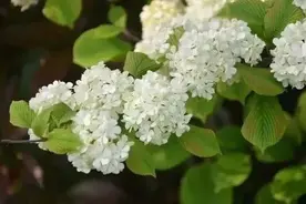 经常这样和你开玩笑的人，就是‘看不起’你，请保持距离图片