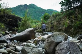 湖南老农祖传“控蛇术”，打个草结就能定住毒蛇，湘西蛇术大揭秘图片
