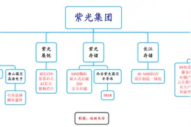 一文梳理国产芯片巨头：紫光集团图片