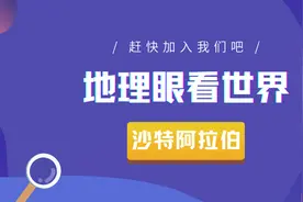 世界杯巡礼之沙特阿拉伯图片