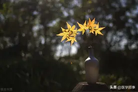 《佛经》中的禅韵十足的好名字图片