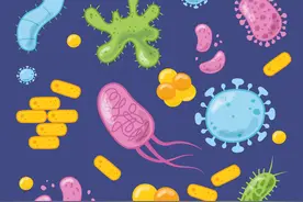 细菌感染和病毒感染有什么区别？图片