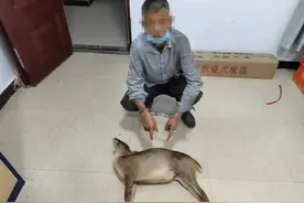 为满足口腹之欲，高安两男子非法狩猎野生动物，被捕！图片