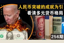 以人民币突破的成就为引，看清楚多元化货币格局的必然性图片