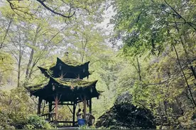 成都-青城后山（攻略实记），总有一座山要自己去遇见图片