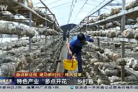 天水：特色产业“多点开花”乡村振兴纵深推进图片