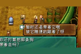 NDS重装机兵2:重制版——收波奇，入战车图片