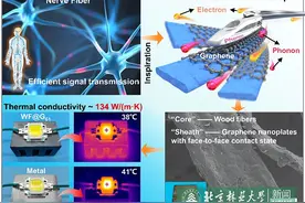 破纪录！北京科学家实现石墨烯“面对面”接触，让木质材料热导率“优于钢材”图片