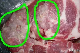 连农村人都不吃的老母猪，为啥有人专门收购？2个去处，价格翻倍图片