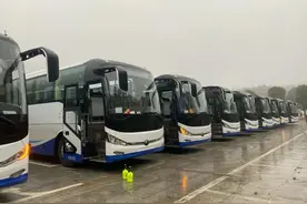 共享电动单车上岗、临岳城际公交即将开通，春节临近，好消息不断图片