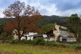 五十岁的70后，故乡难回，异乡难留图片