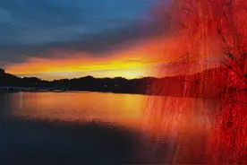 好诗句又来了，人若漂萍柳醉风，相识一梦憾难逢图片