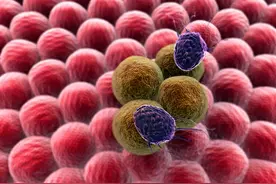 癌症不会传染？别高兴得太早，4种致癌病原体可能会“人传人”图片