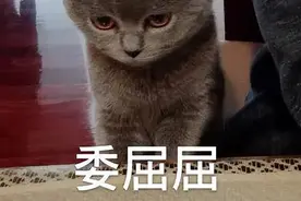 我家住在顶层，小区里的孩子在楼顶打闹破坏平台地面，现在房顶漏水，我该怎么办？图片