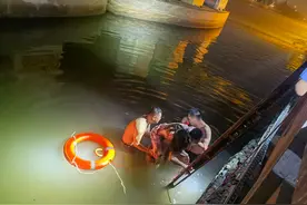 深夜雨中，泰兴如泰运河延令桥下，一女子掉进河里，3名男子随后跳下......图片