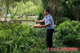 市民路边捡到翠鸟，民警救助放归自然图片