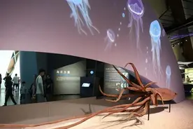 在国家海洋博物馆遥看远古海洋的模样—海博专题之八图片