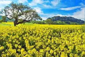 梦见去世的亲人，究竟是好事还是坏事呢？看完才恍然大悟！图片