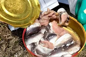 世界第一臭的鲱鱼罐头怎么来的？太空方便餐给你唠唠它的来源图片