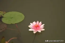 一个不合群独处的女人，最后成了一个万事不欠人情的讨人嫌图片